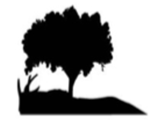 Clôture et Portail Concept Canéjan, Installation de fermetures, Installation de portail ou porte de garage